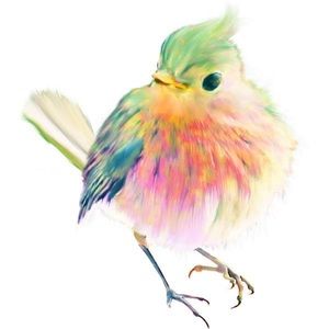 Meet your Posher, Mira